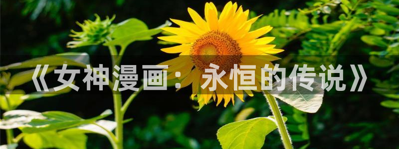 同人羞羞漫画